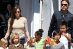 Angelina Jolie estaría esperando su séptimo hijo