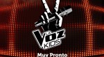 Canal Caracol produciría versión colombiana de ‘La Voz Kids’
