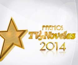 Estos son los nominados a los Premios TV y Novelas 2014