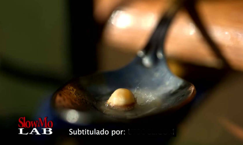Graban transformación de un grano en una palomita de maíz