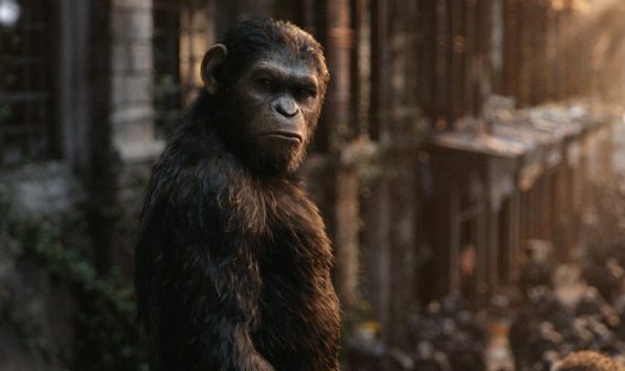 Revelan trailer final de la película El Planeta de los Simios: La guerra