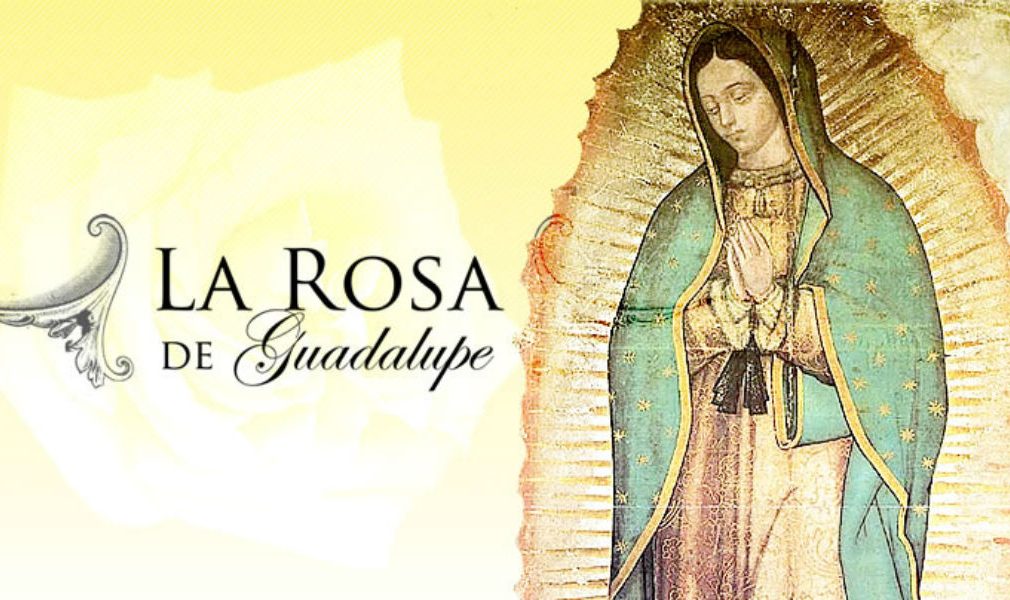 Rating: Miércoles 2 de Agosto de 2017 // La virgen del Rating