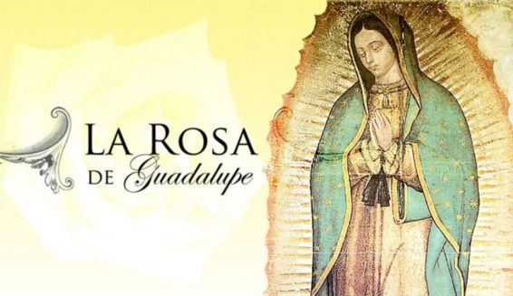 Rating: Jueves 21 de Diciembre de 2017 // La rosa de la audiencia