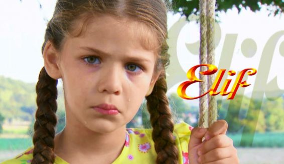 Colombianos ‘celebran’ en redes sociales la aparición de Elif